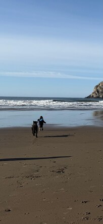 Lovely beach access.