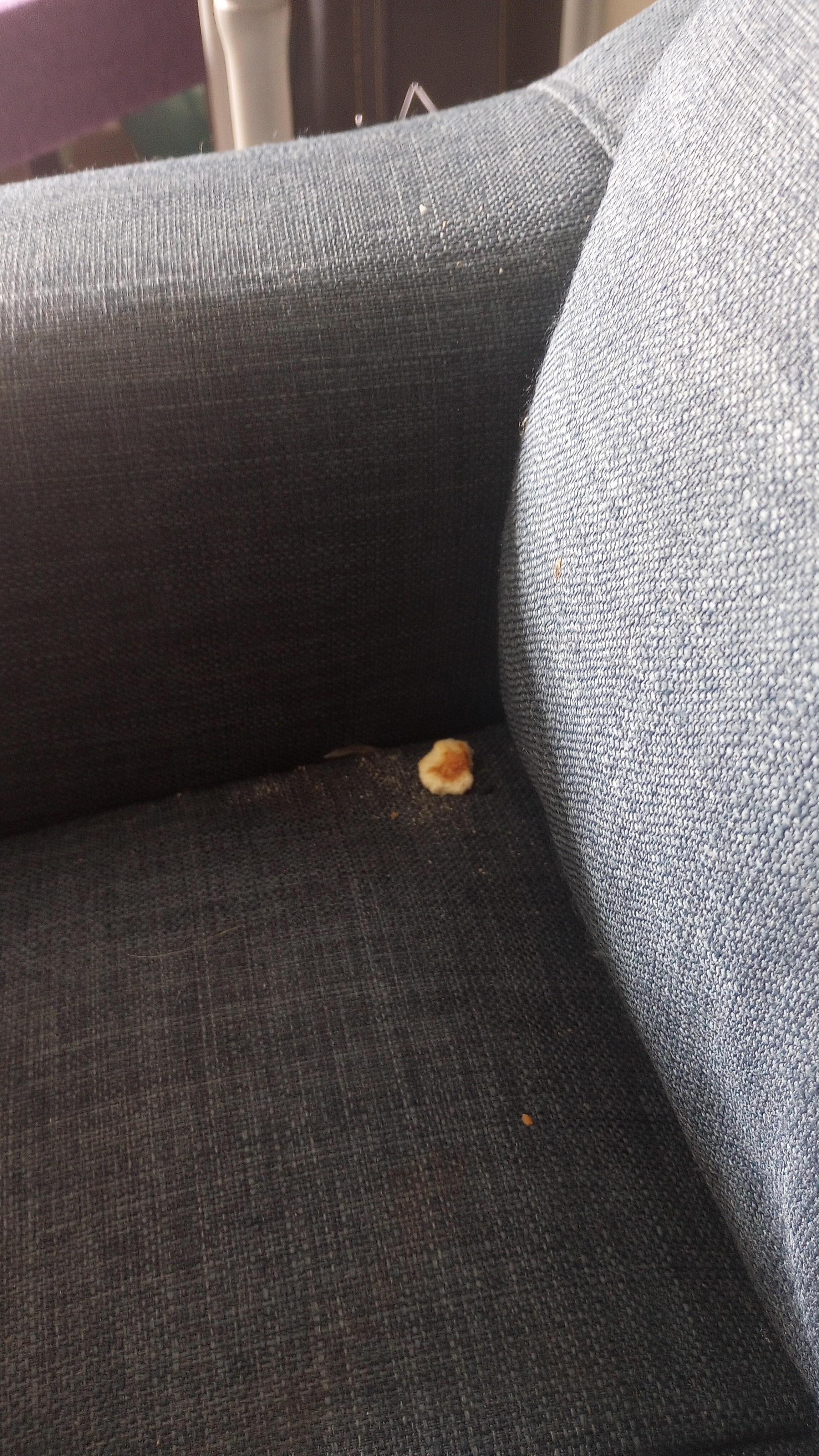 an old popcorn kernal under the throw pillow on the sofa