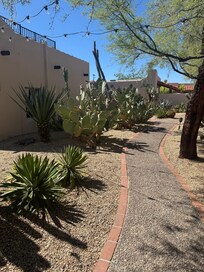 Beautiful landscape!