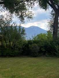 View from the patio