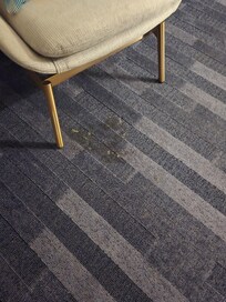 Stained carpets.