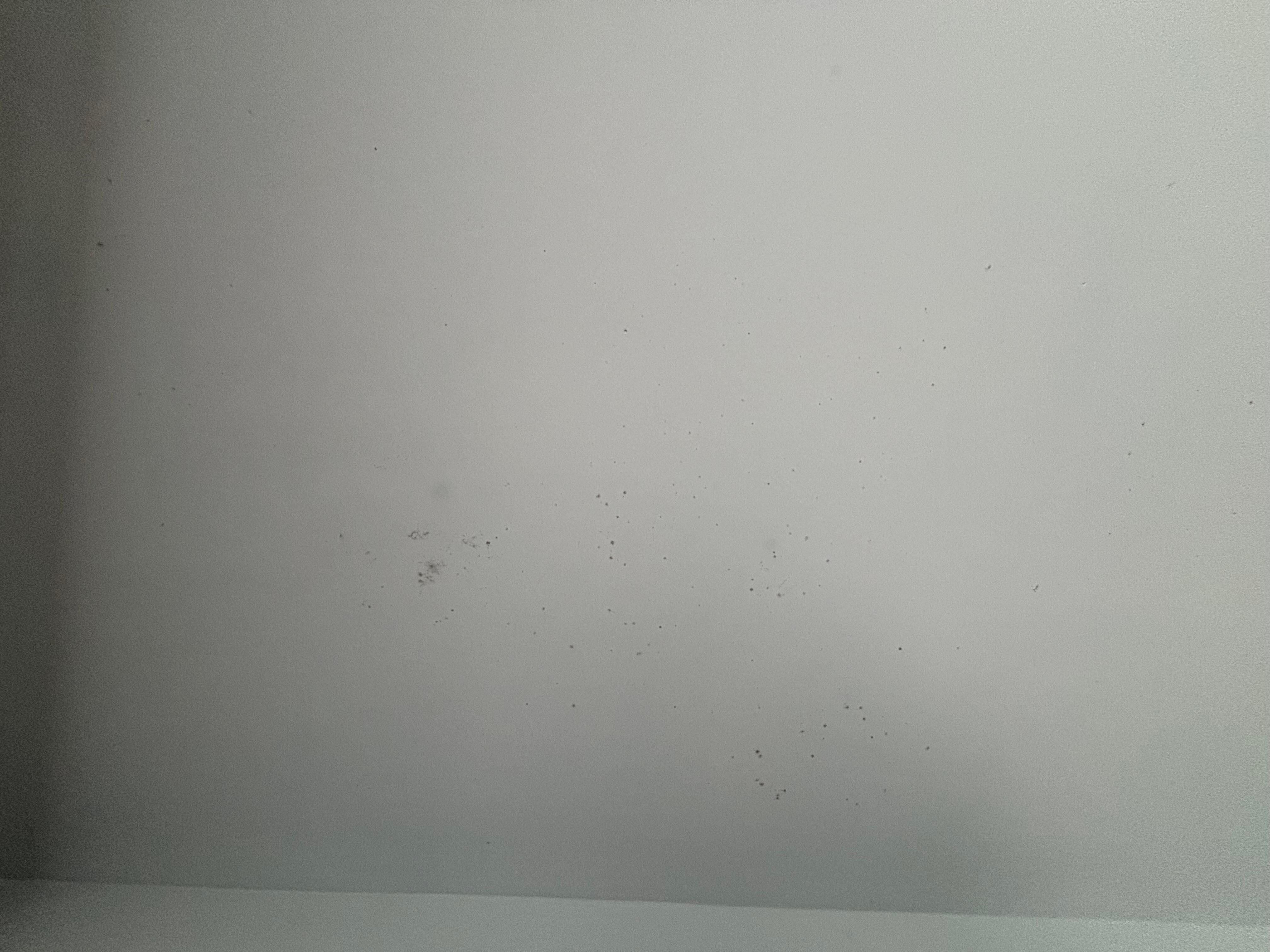 Thought it was dust at first from the air vent, but it’s mold. 