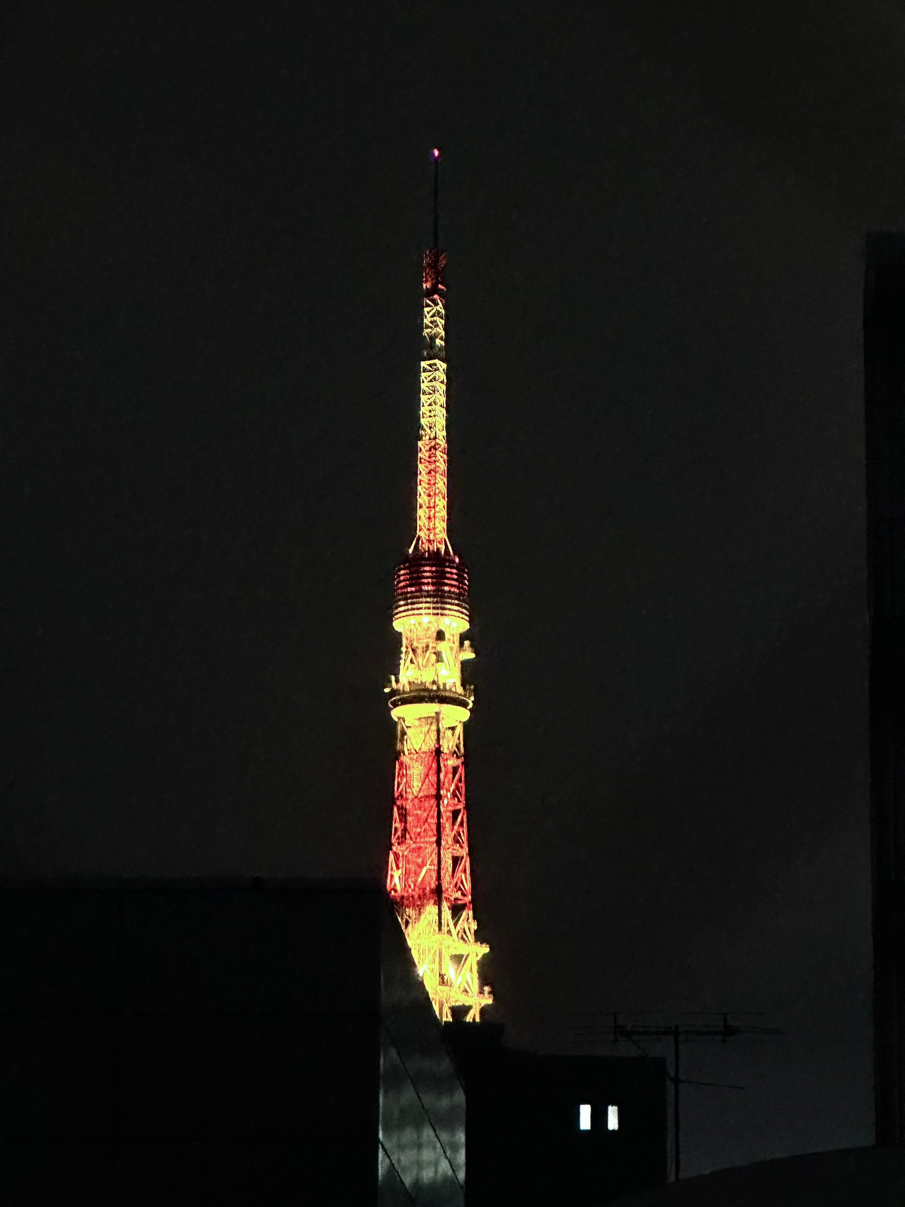 東京タワーが見えるお部屋でした。