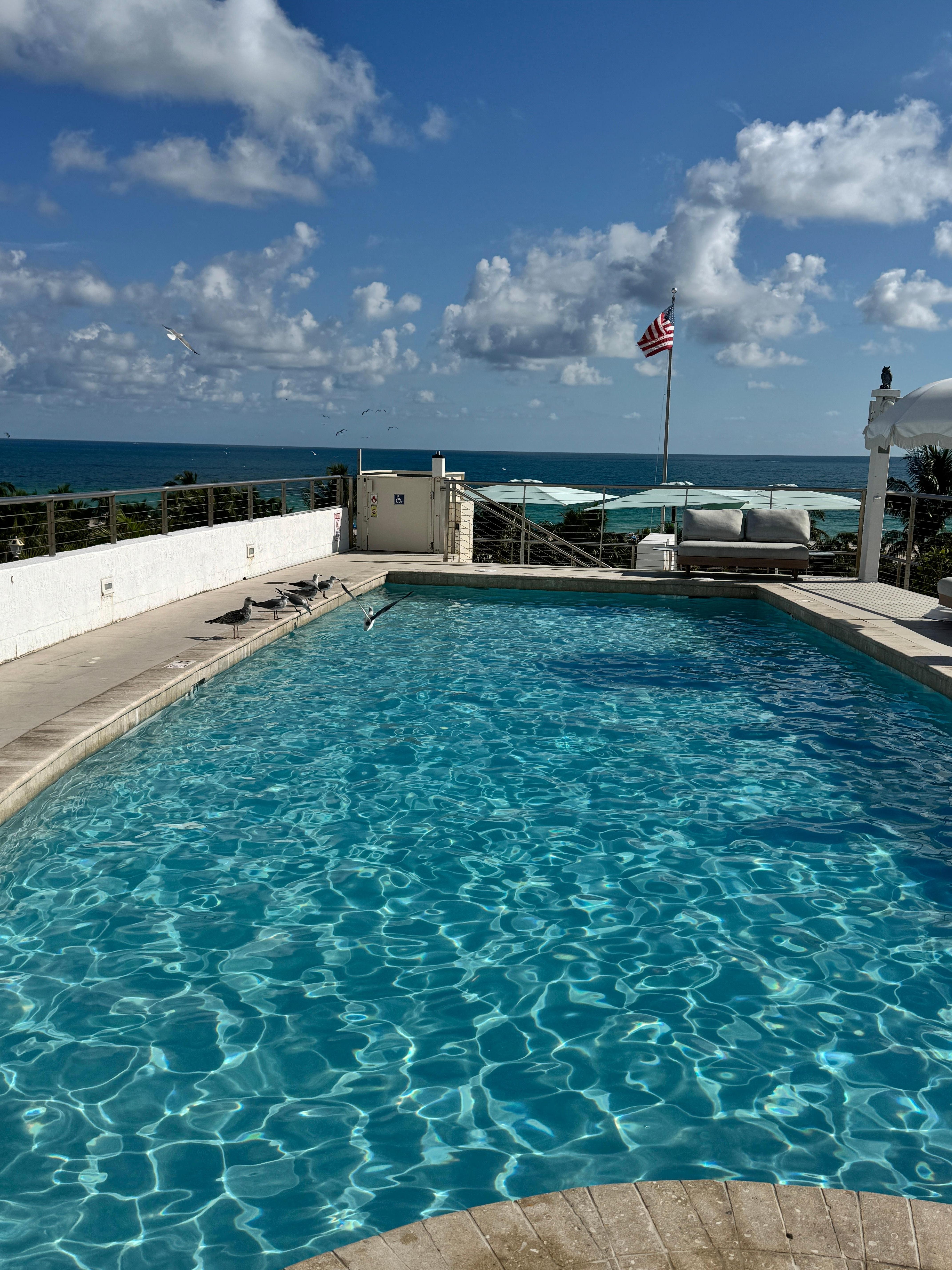 Roof top pool and Jacuzzi 