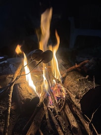 Smores by campfire