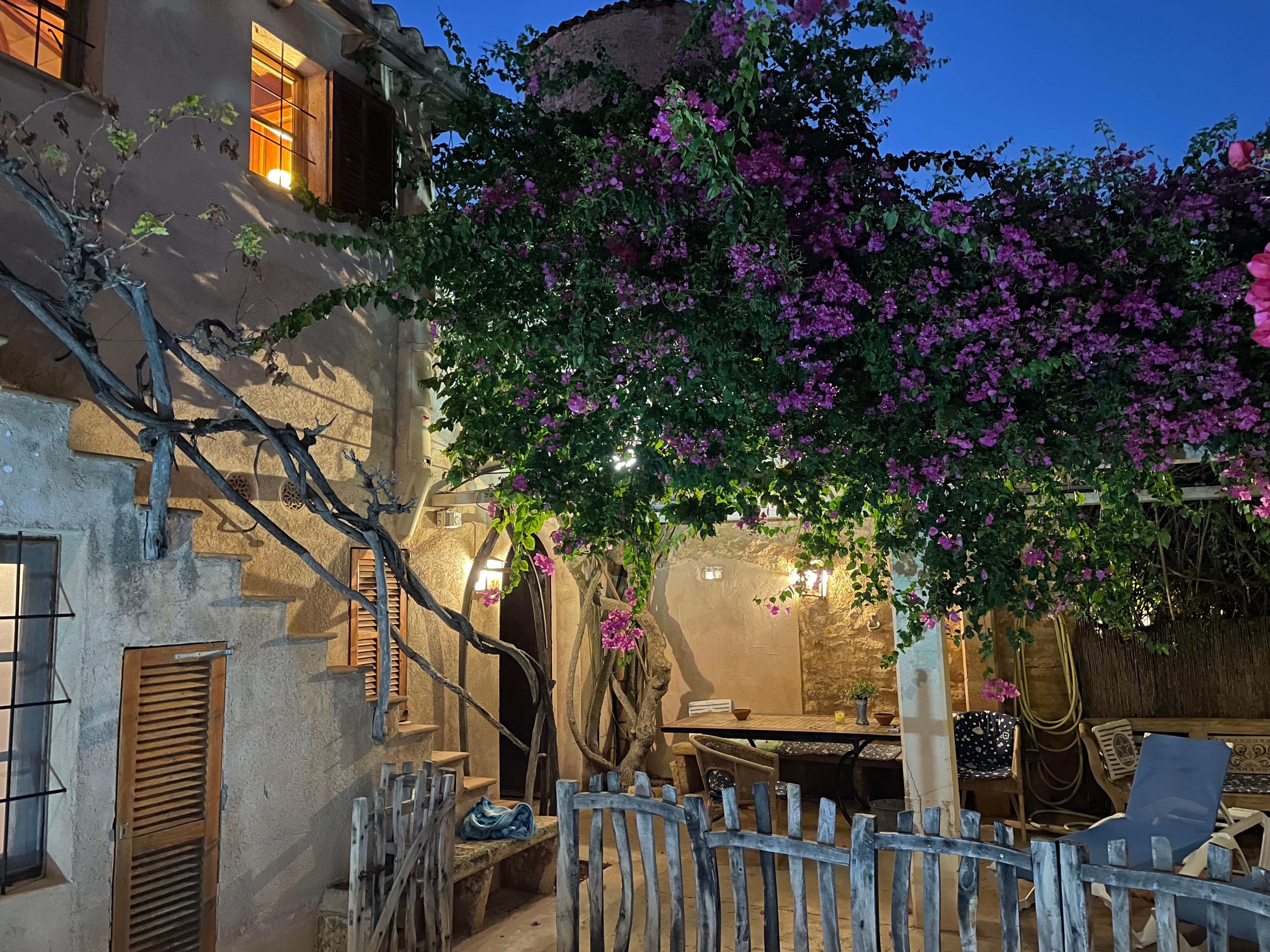 Patio outside the mill