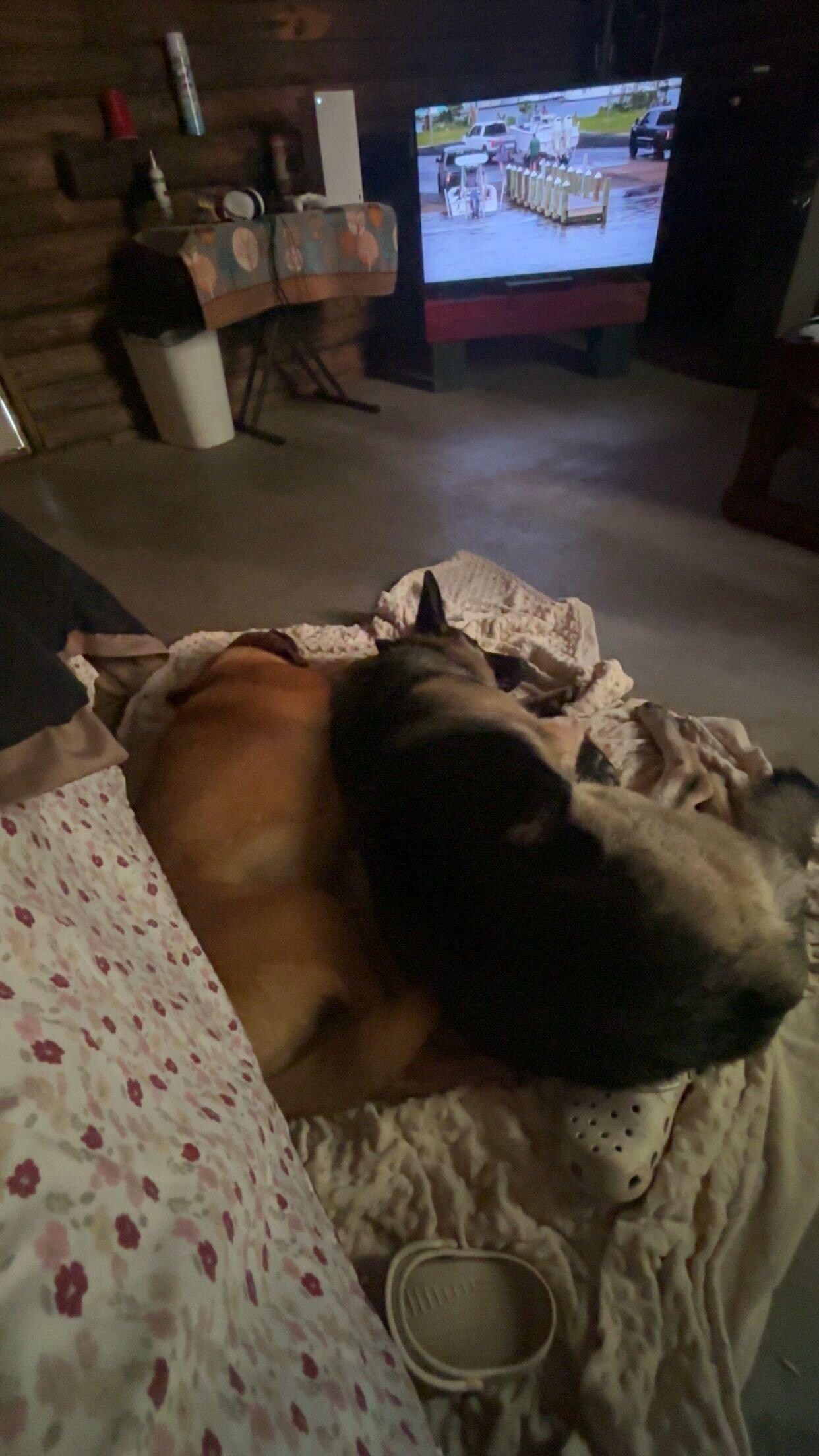 After a long day on the beach playing the cabin was cozy and even had a/c!
