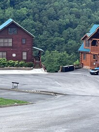 Momma bear and 3 cubs just a few cabins away