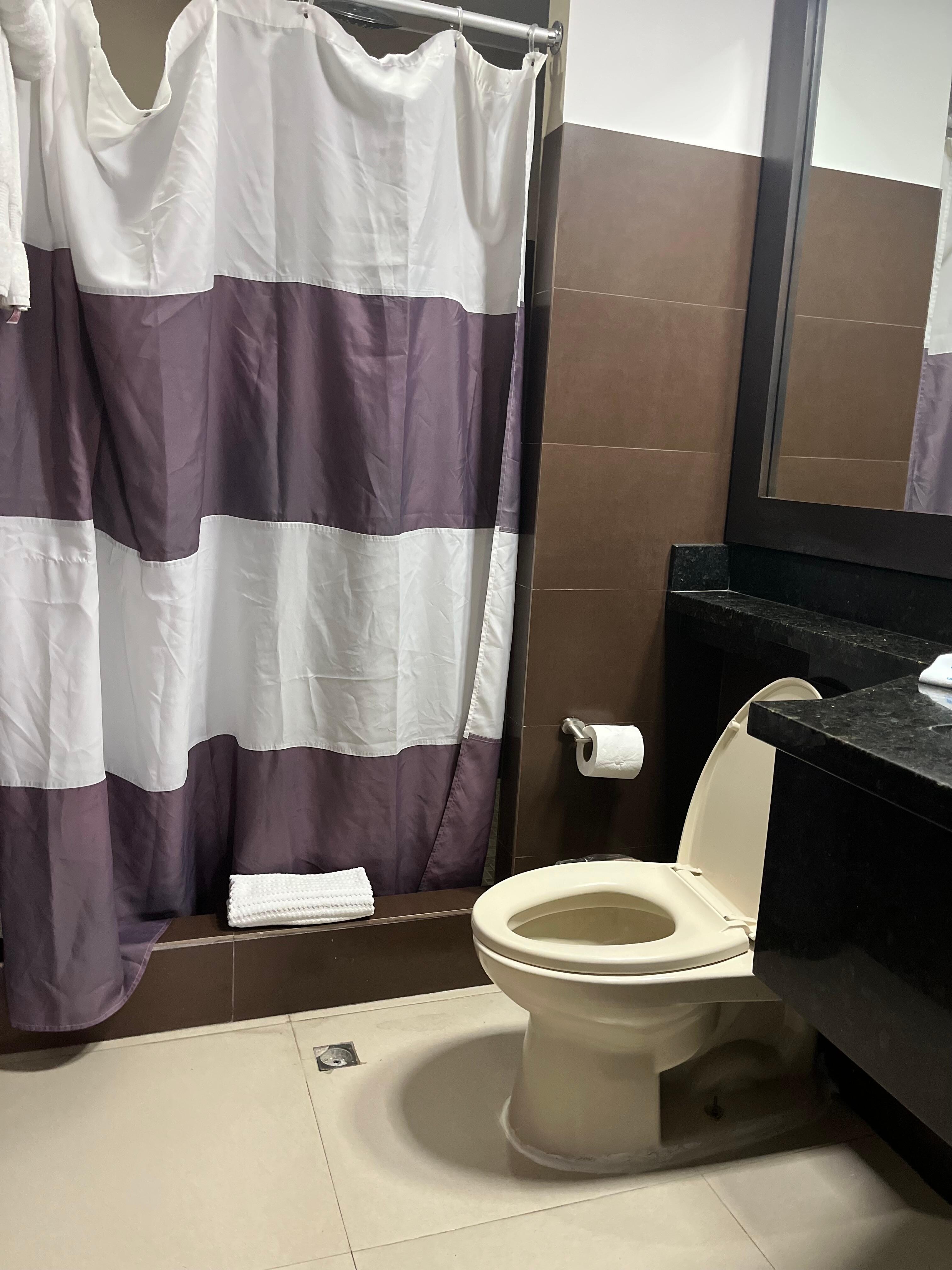 Room bathroom and shower 