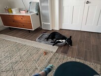 Sleepy after a long day