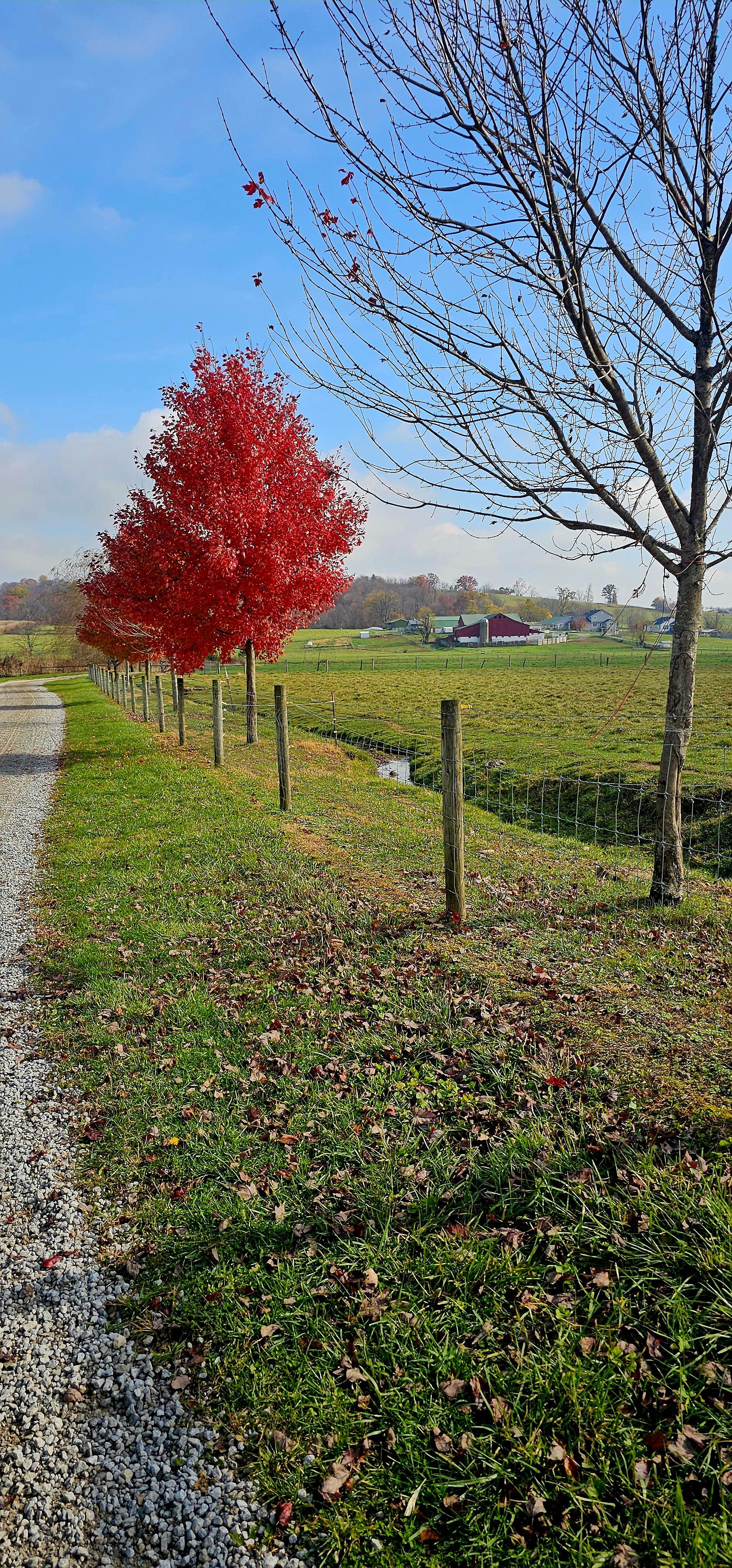 Beautiful November scenery!