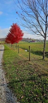 Beautiful November scenery!