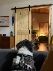 Listening to the critters in the bedroom wall. It's such a cute bedroom though.