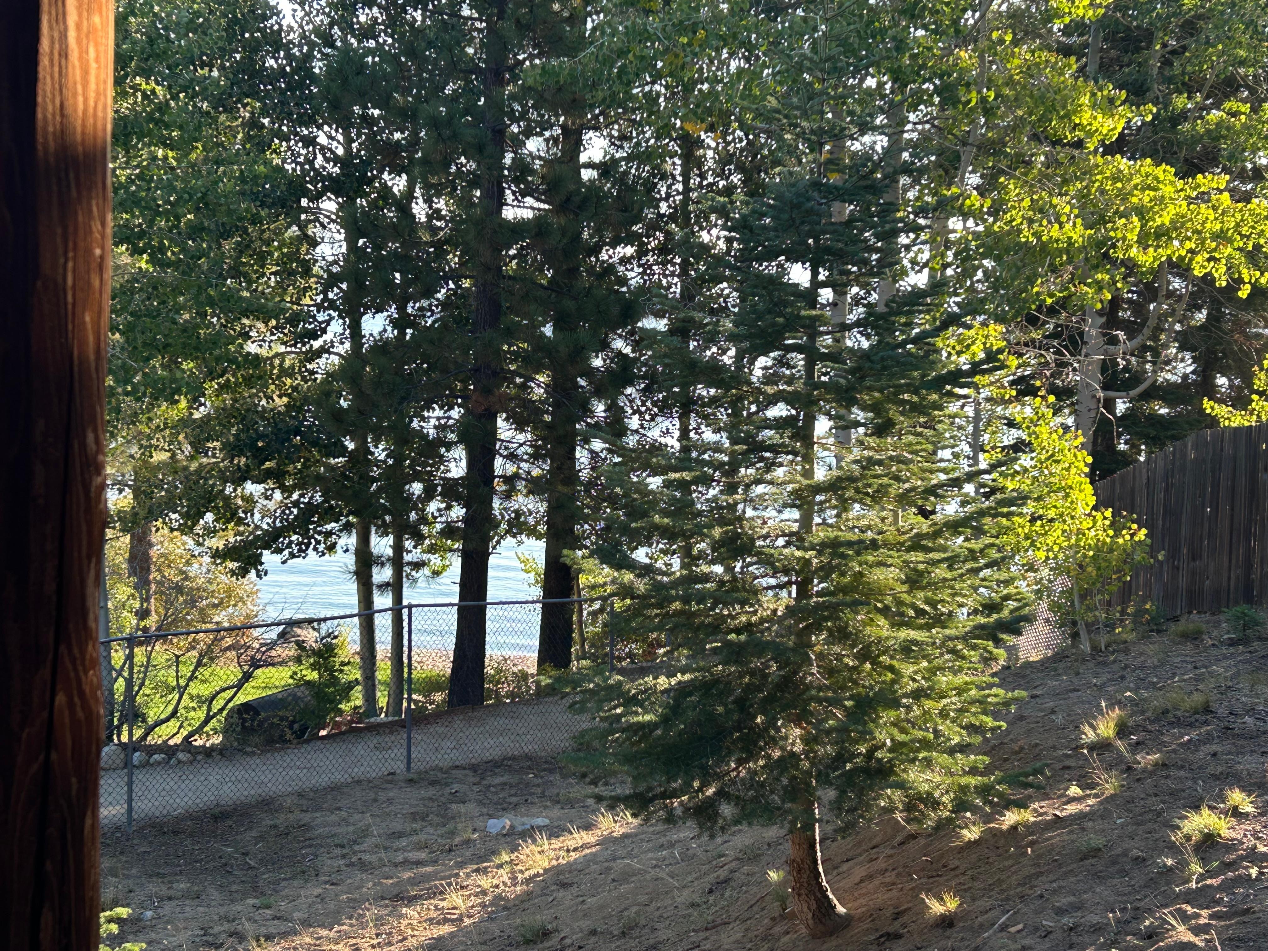 View from the deck looking towards the beach 
