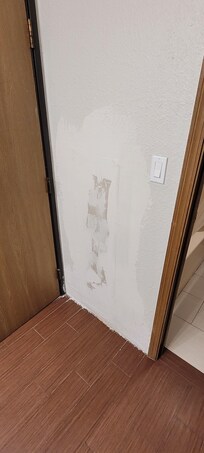 Drywall or shower repair?
