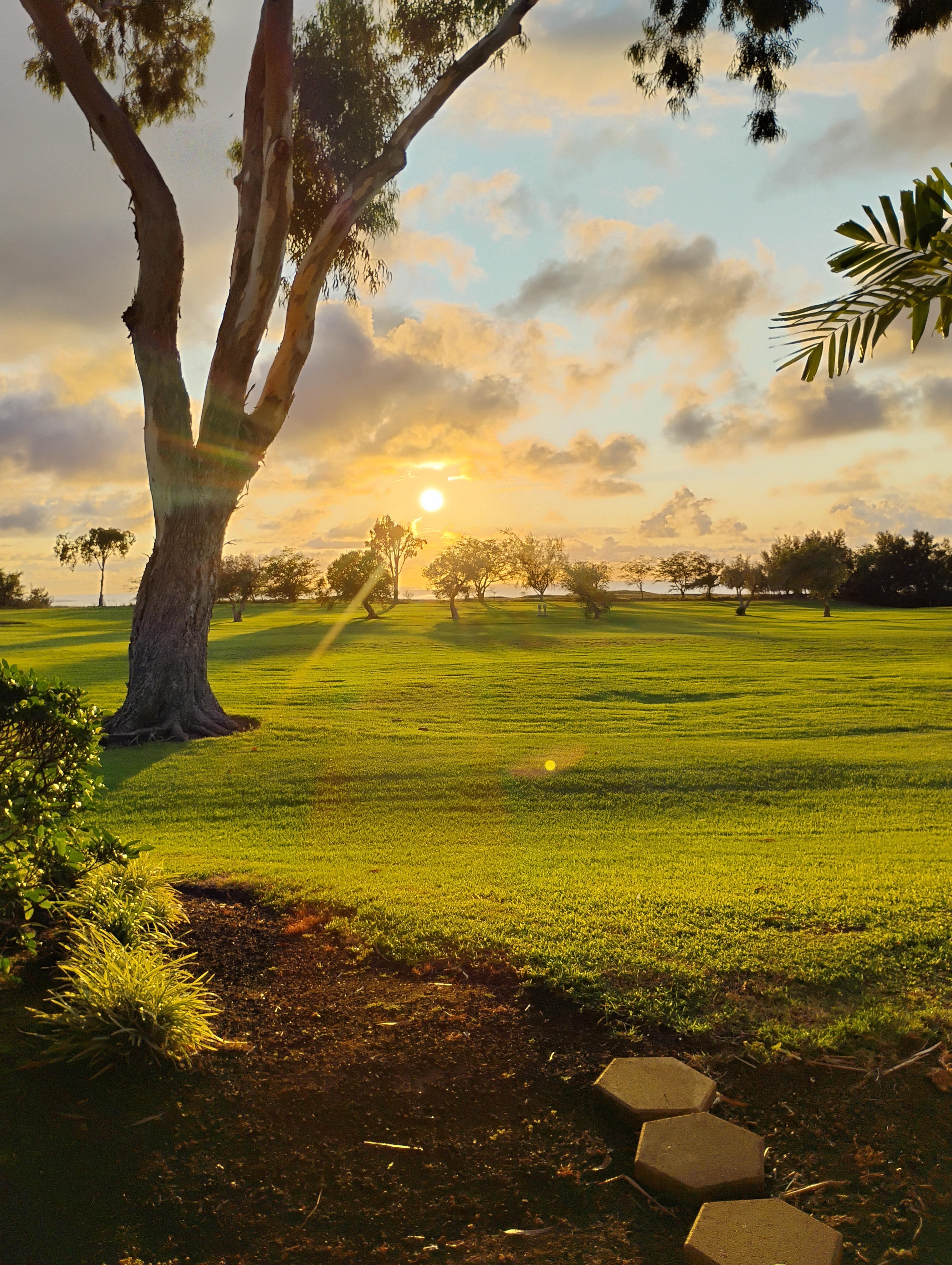 Sunset from the patio
