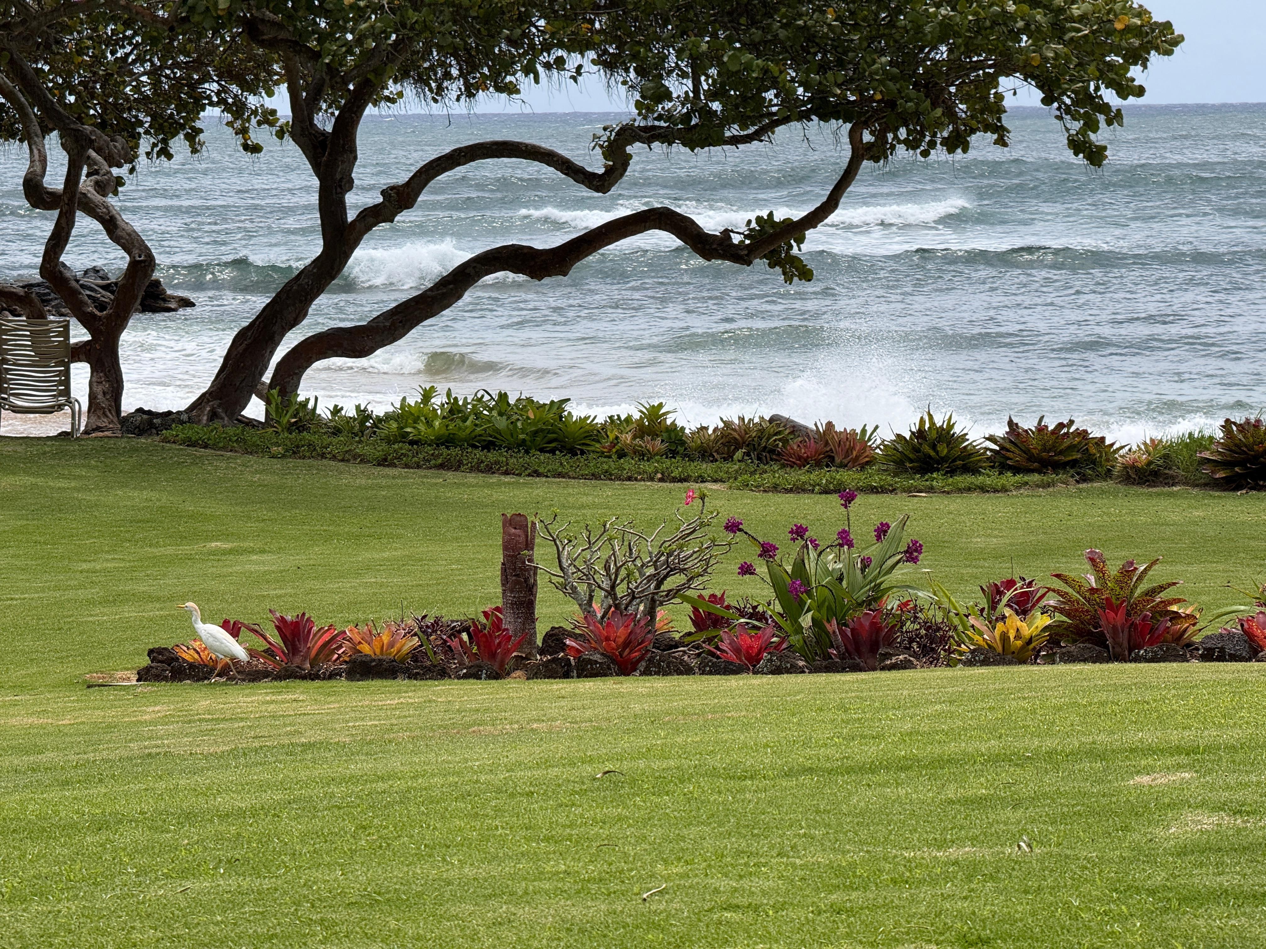 View of the ocean to the left from the lanai 