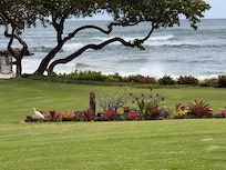 View of the ocean to the left from the lanai