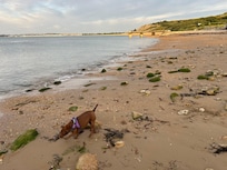 Bowleaze cove