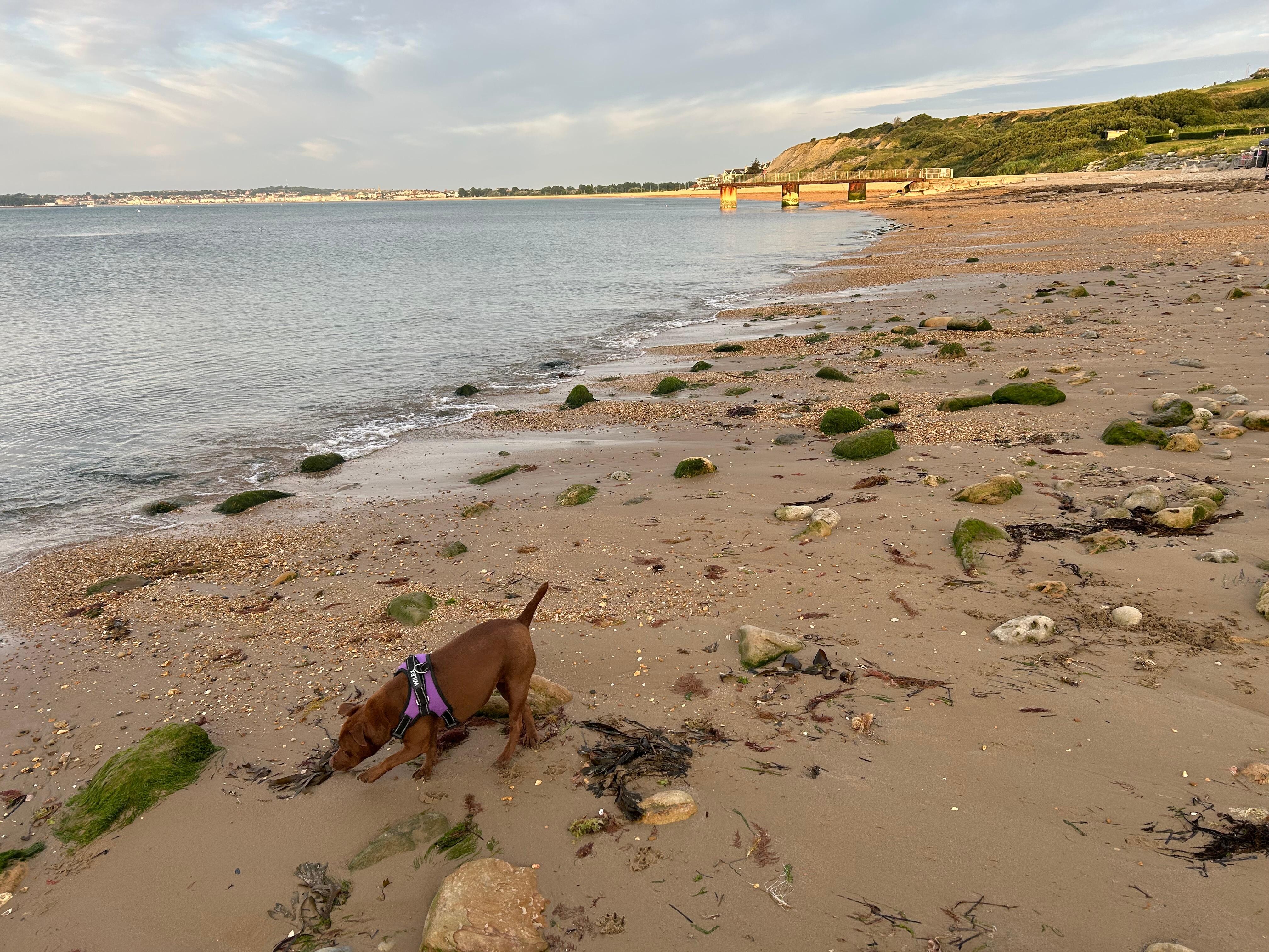 Bowleaze cove