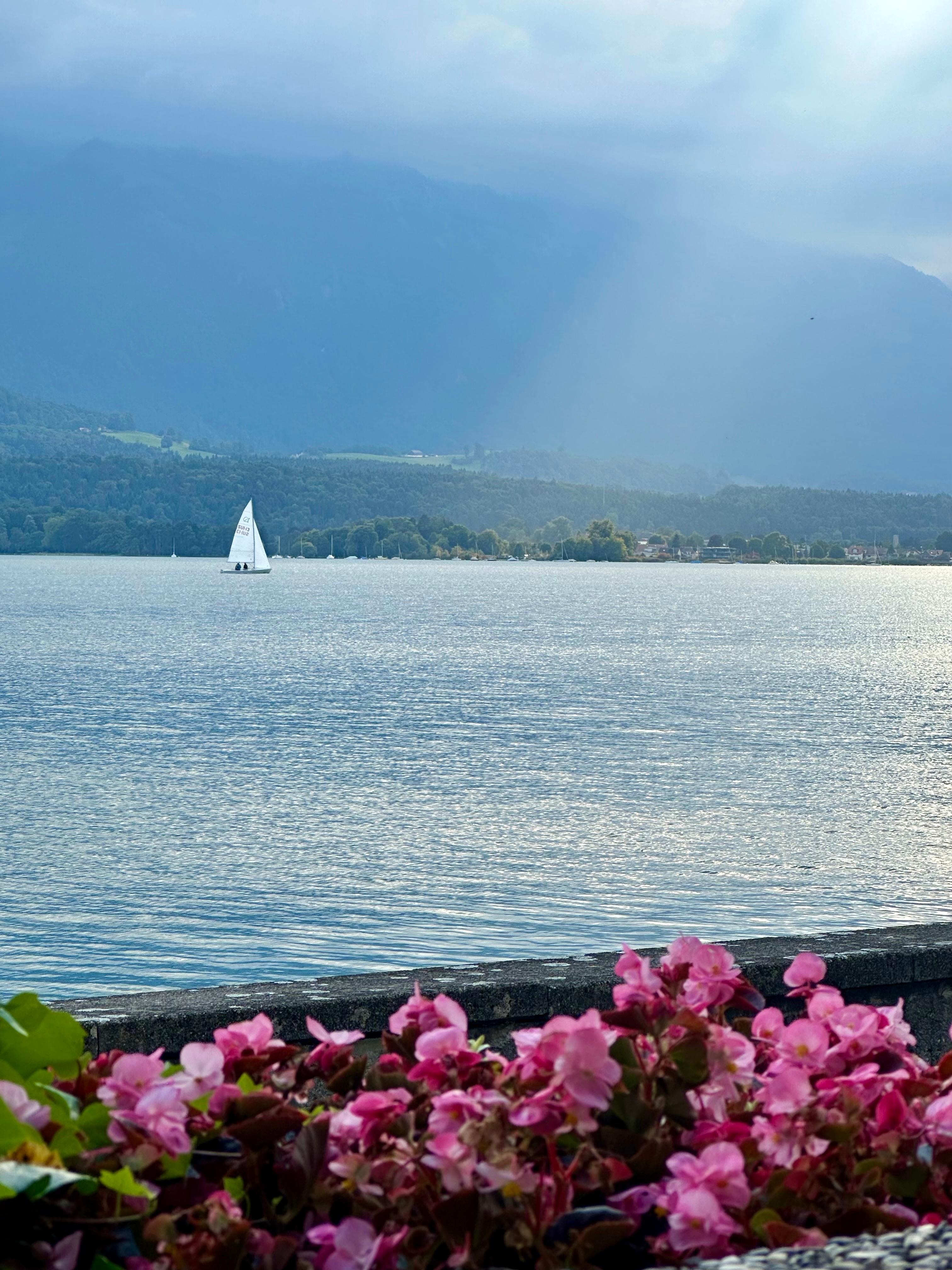 Lake Thun Switzerland 2025