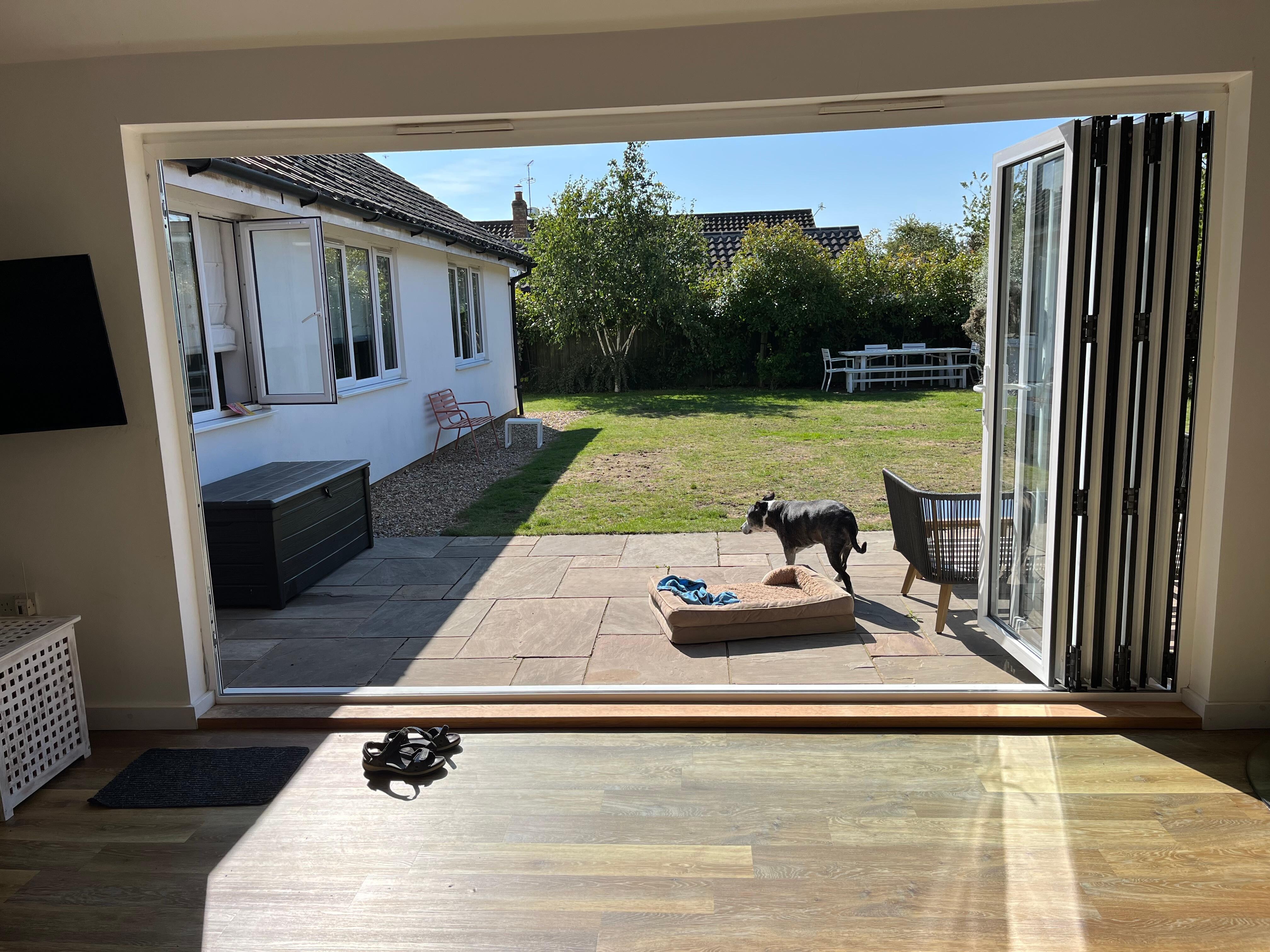Our senior dog enjoying the sunny garden at Springfield