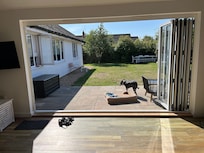 Our senior dog enjoying the sunny garden at Springfield