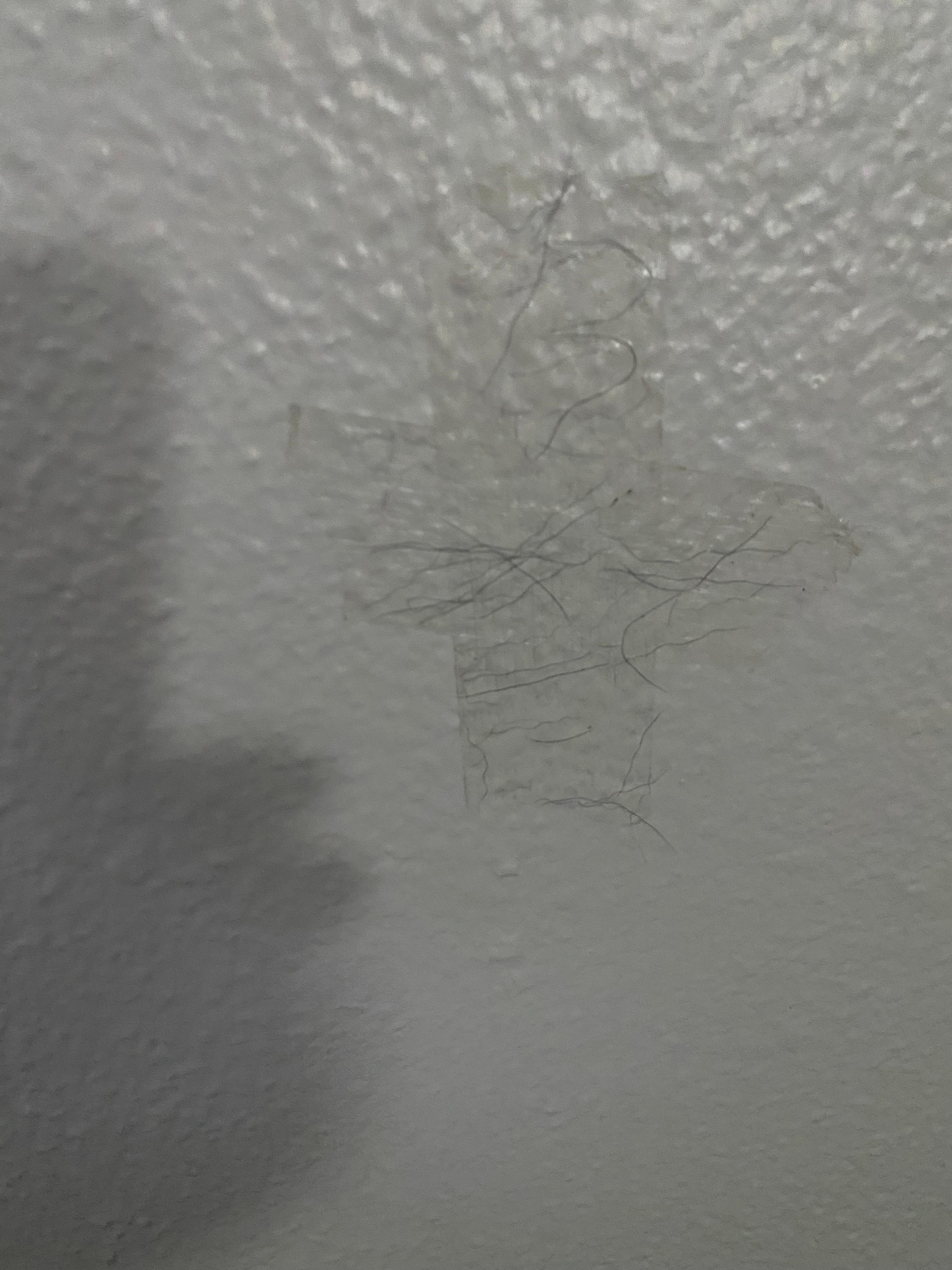 Hair was taped on wall