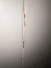 Mold permanently staining the tile