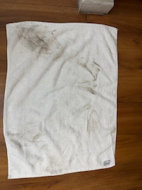 Dirt from floor.