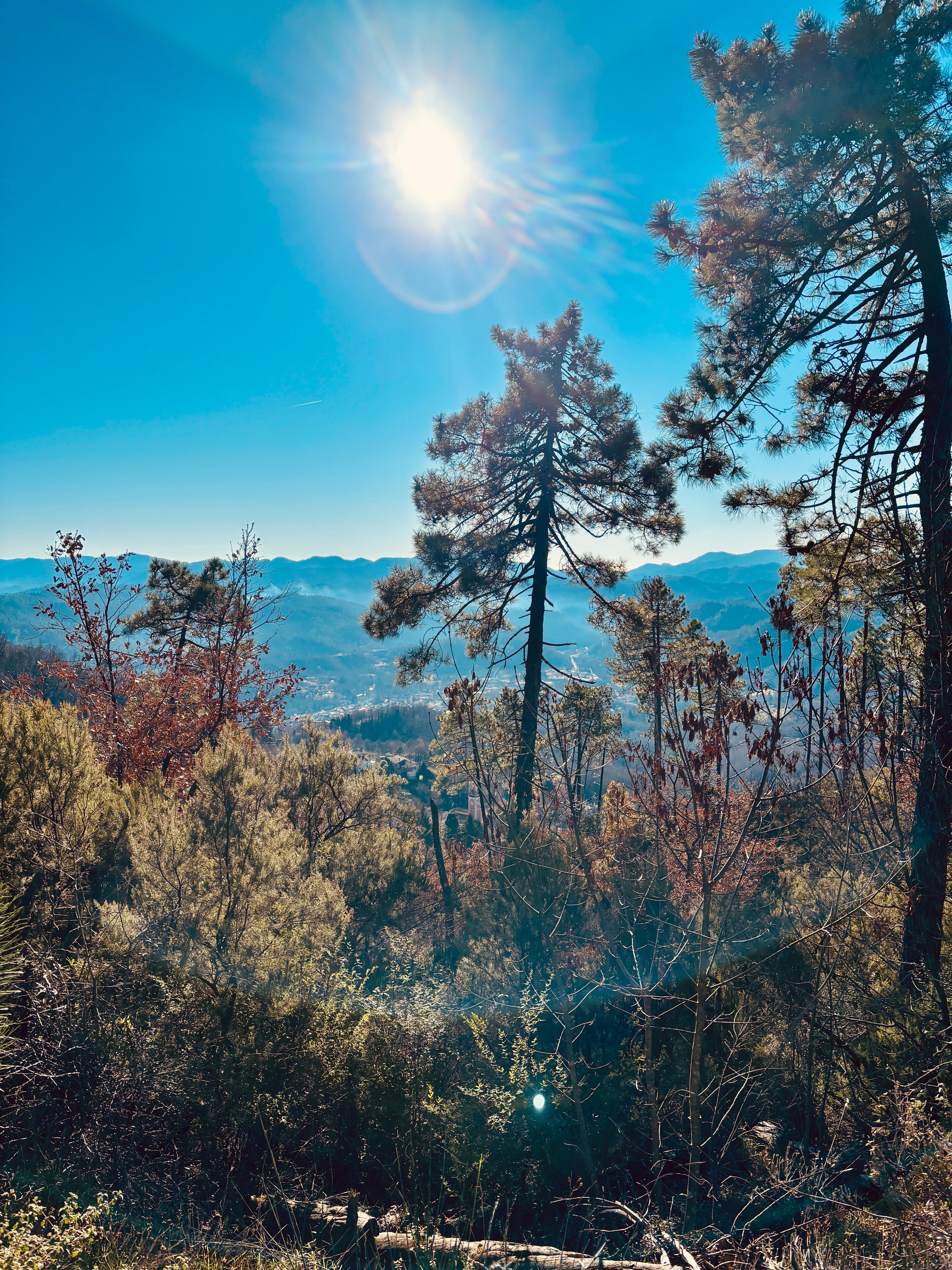 Sesta Godano von einer Wanderung in der Umgebung fotografiert 