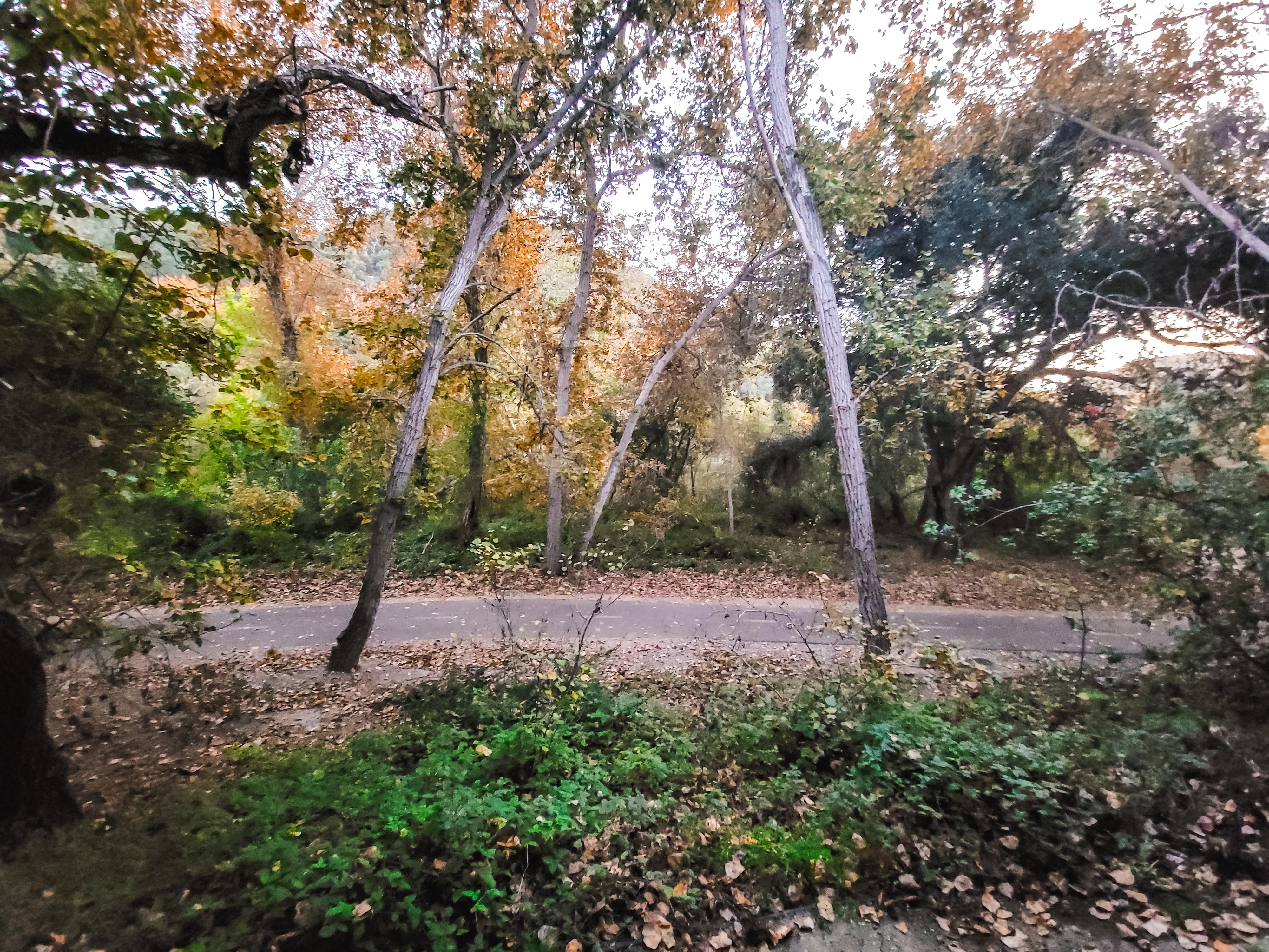 From our room balcony. 