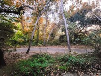 From our room balcony.