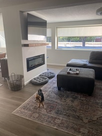 Living room area with large windows and views of the backyard. Beautiful fireplace and large television.