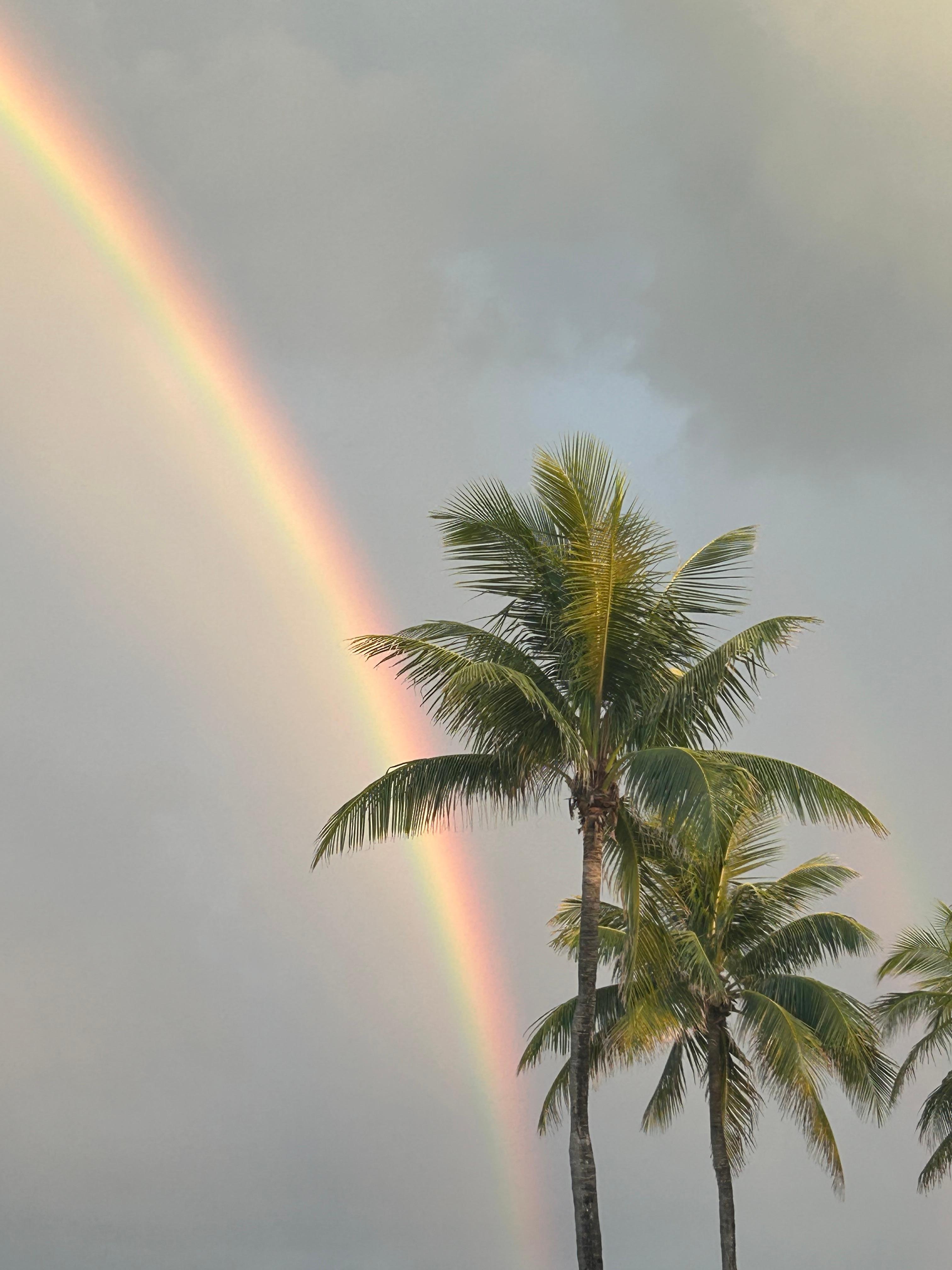 Hollywood Beach after it rains