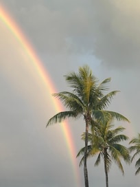Hollywood Beach after it rains