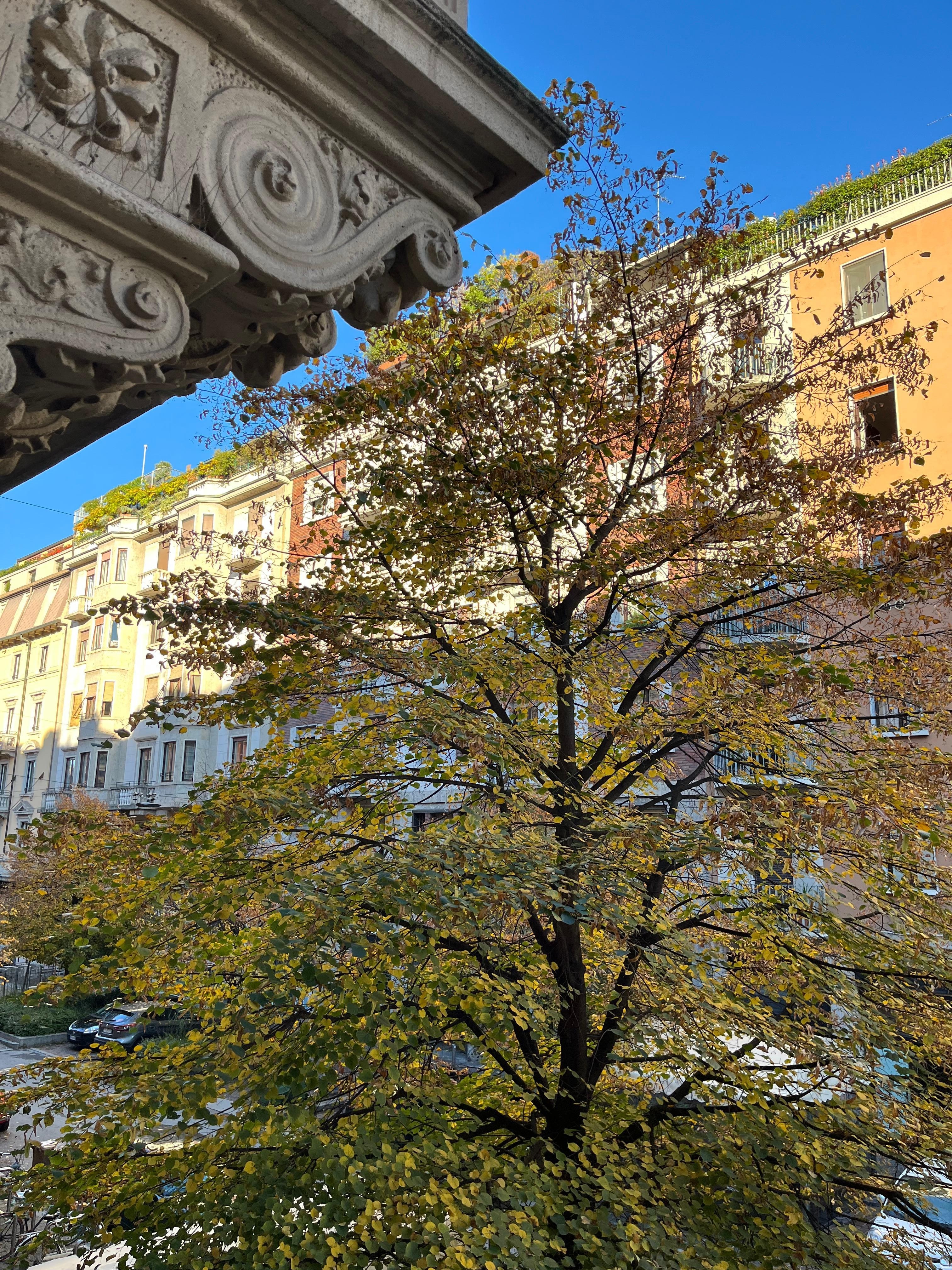 View of a beautiful blue November sky ( from bedroom)