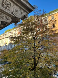 View of a beautiful blue November sky ( from bedroom)