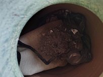 What was inside the vase