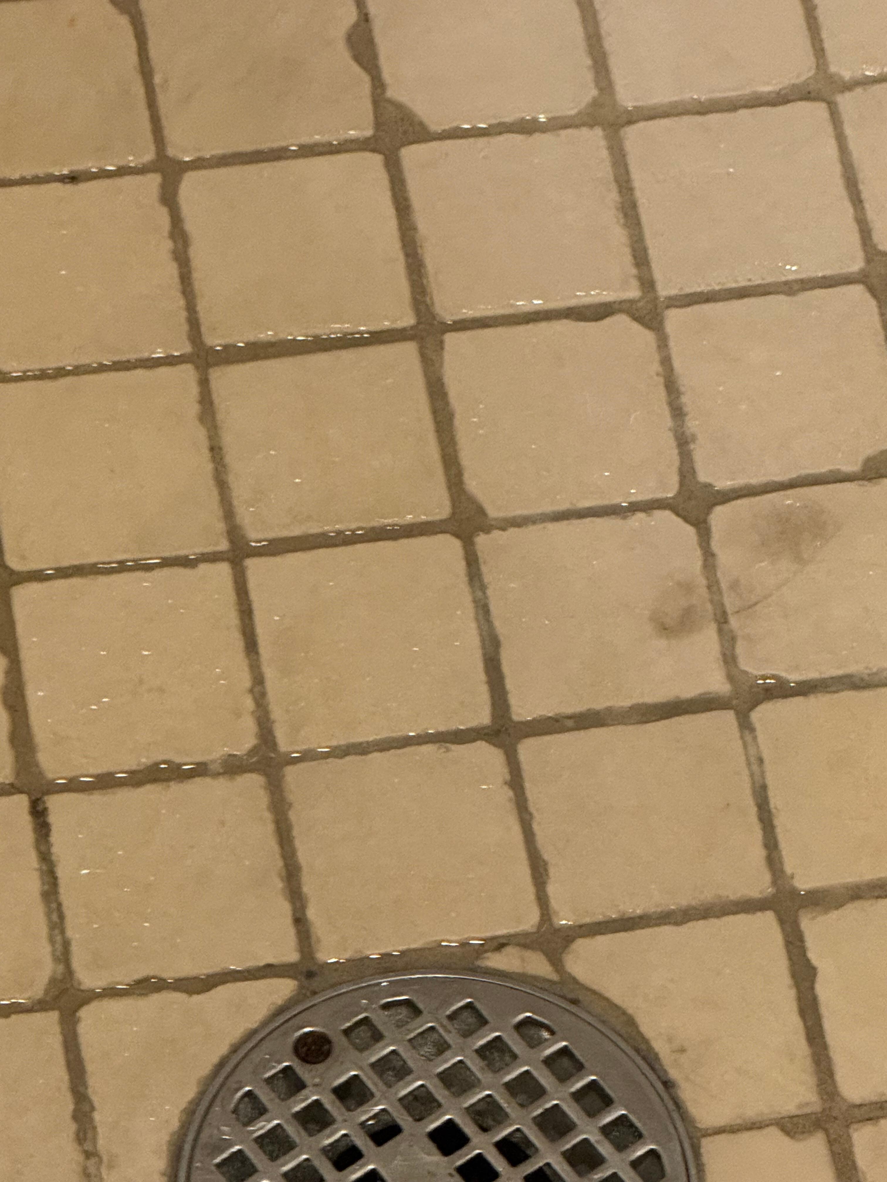 Would this floor be acceptable to you?