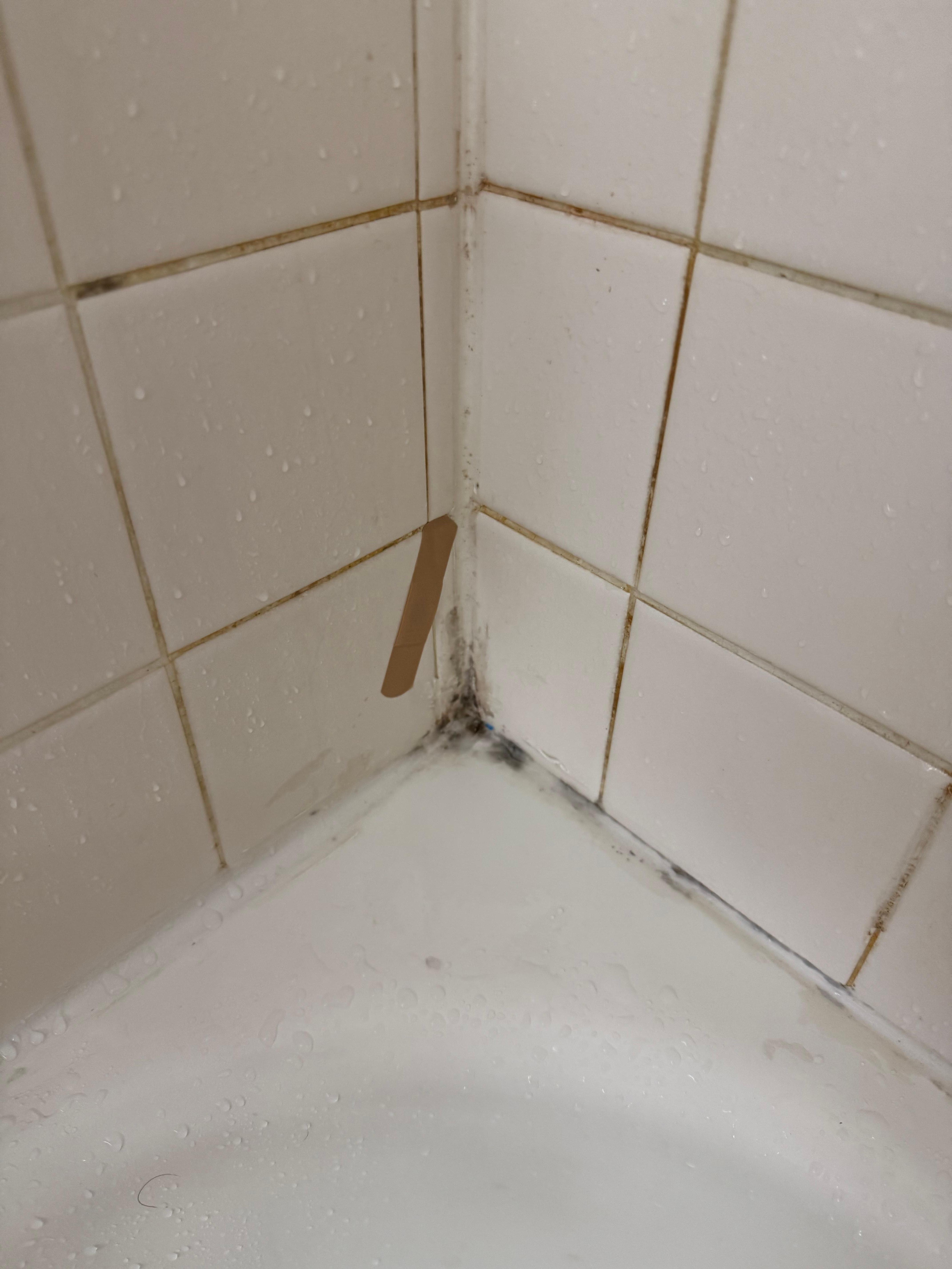 tub with mold and old bandaid