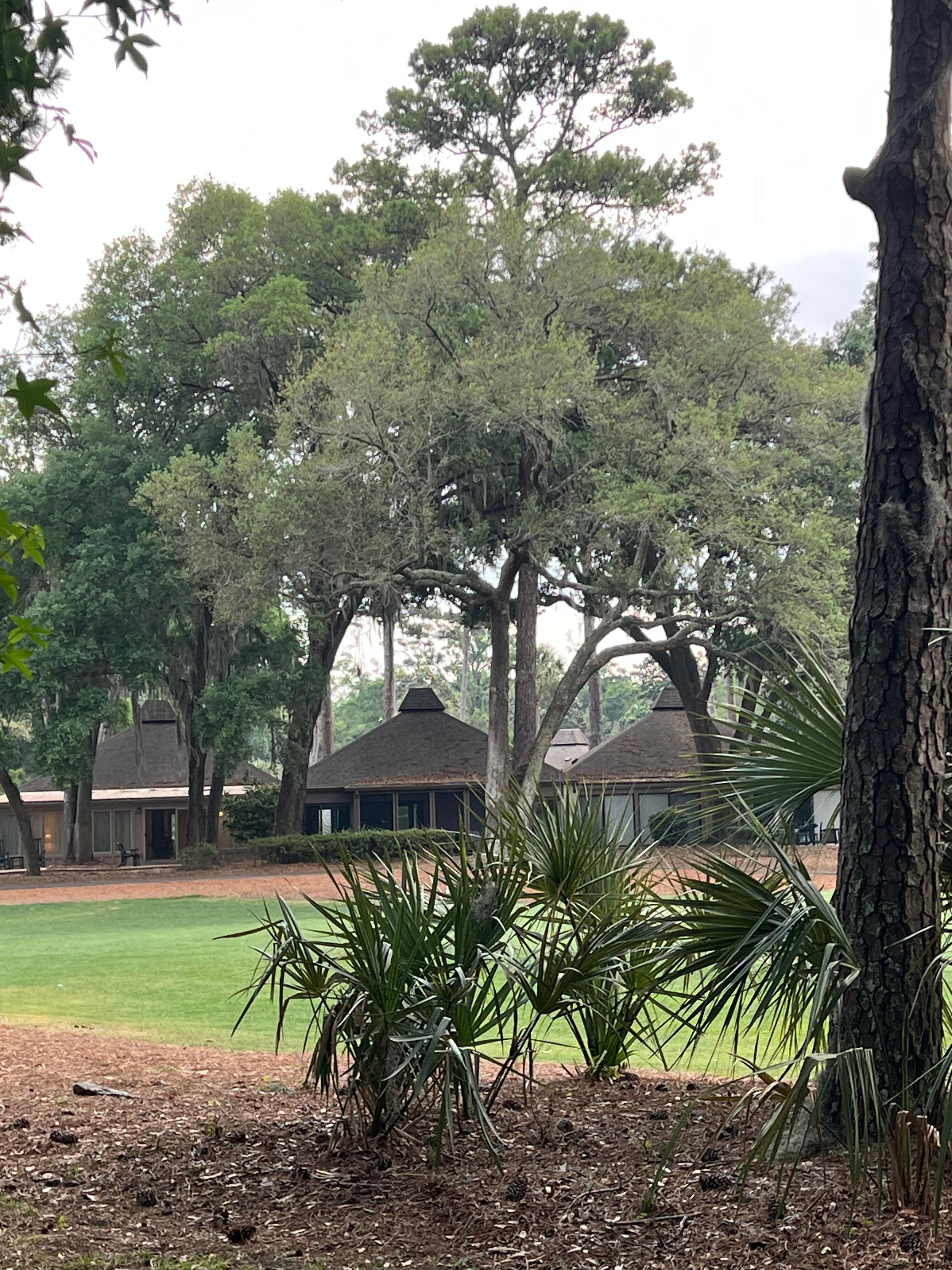 View from Villa