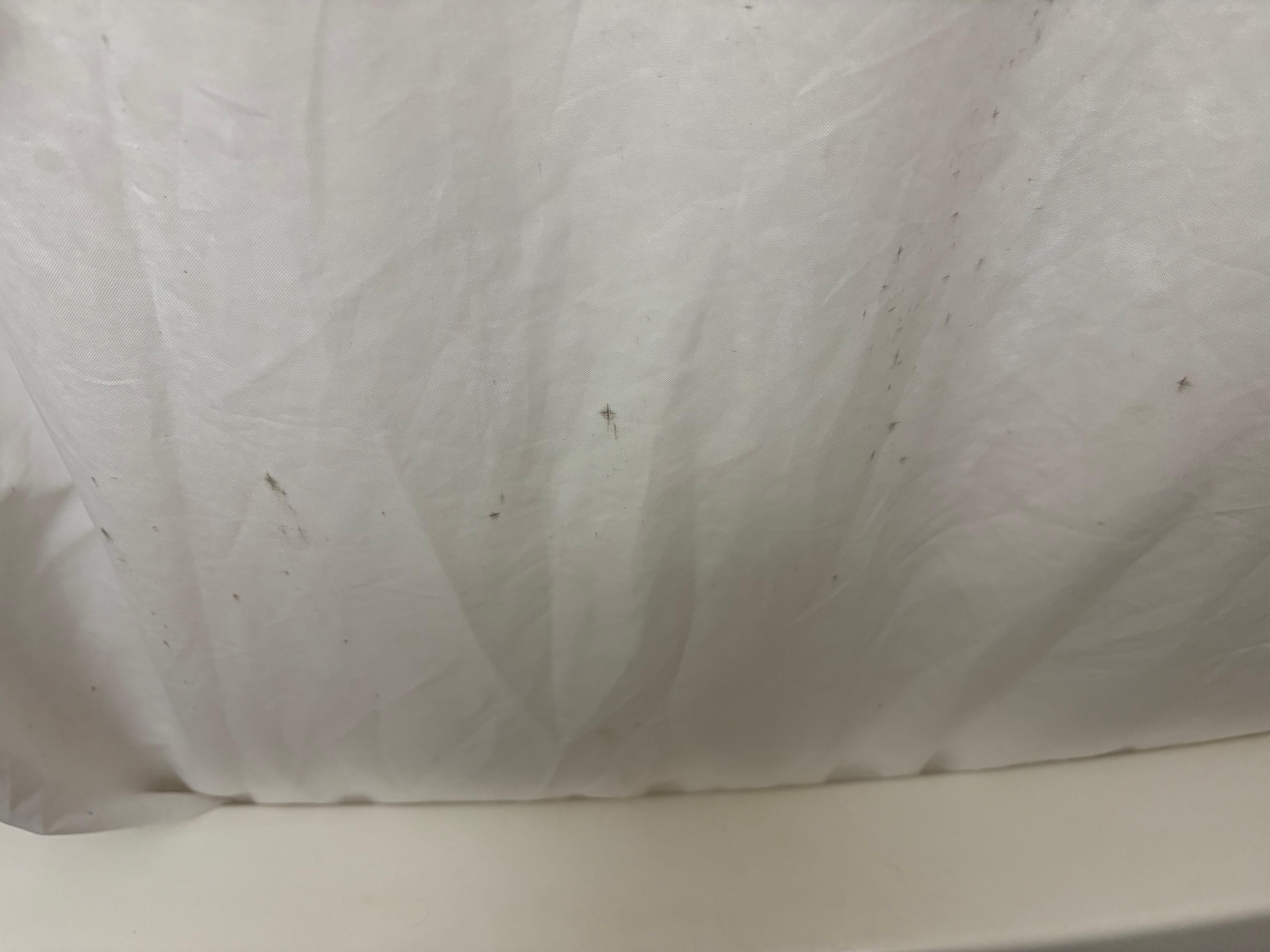 Mould and n drapes 