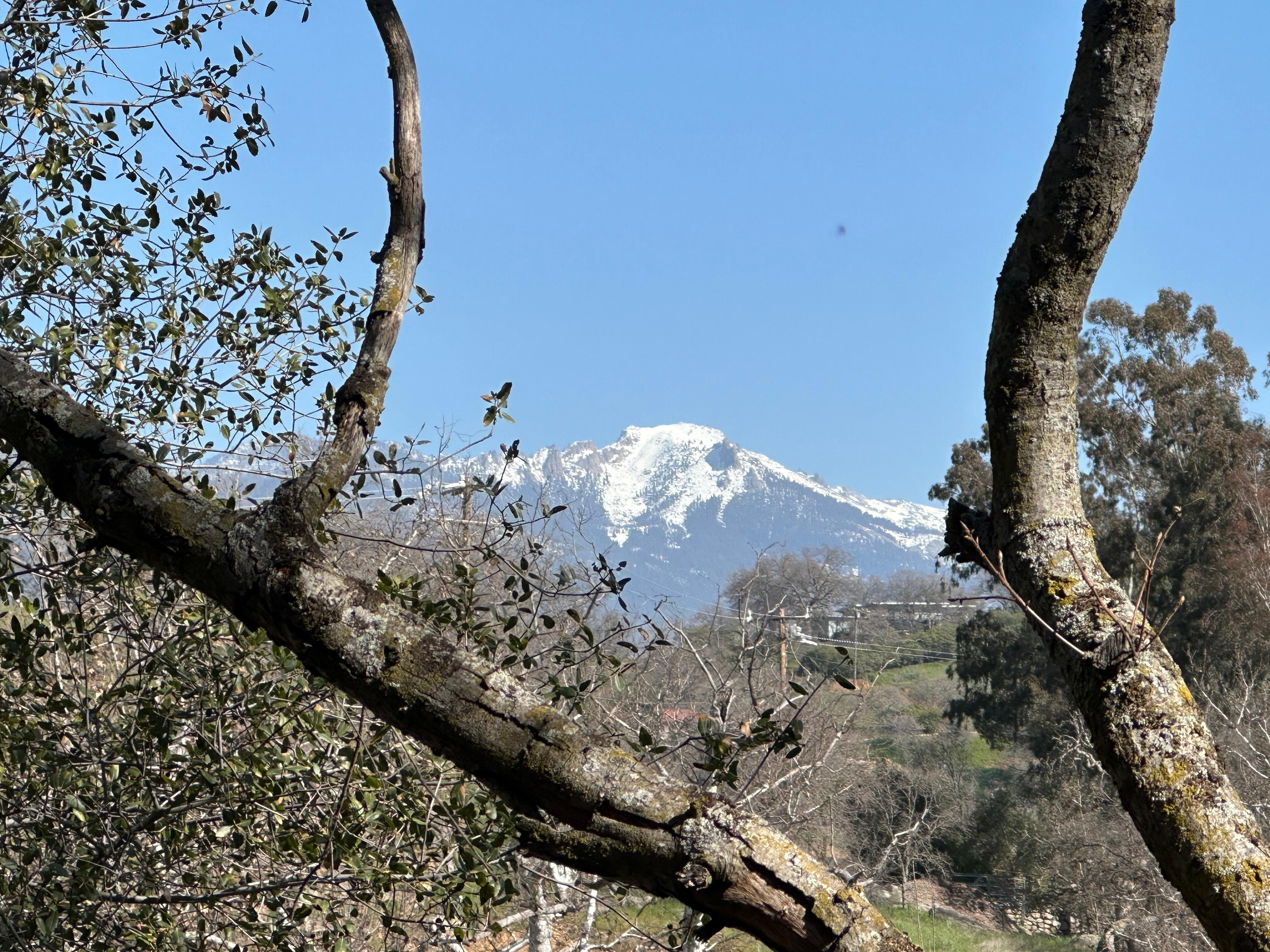 Gorgeous snow-capped mountain in the distance!