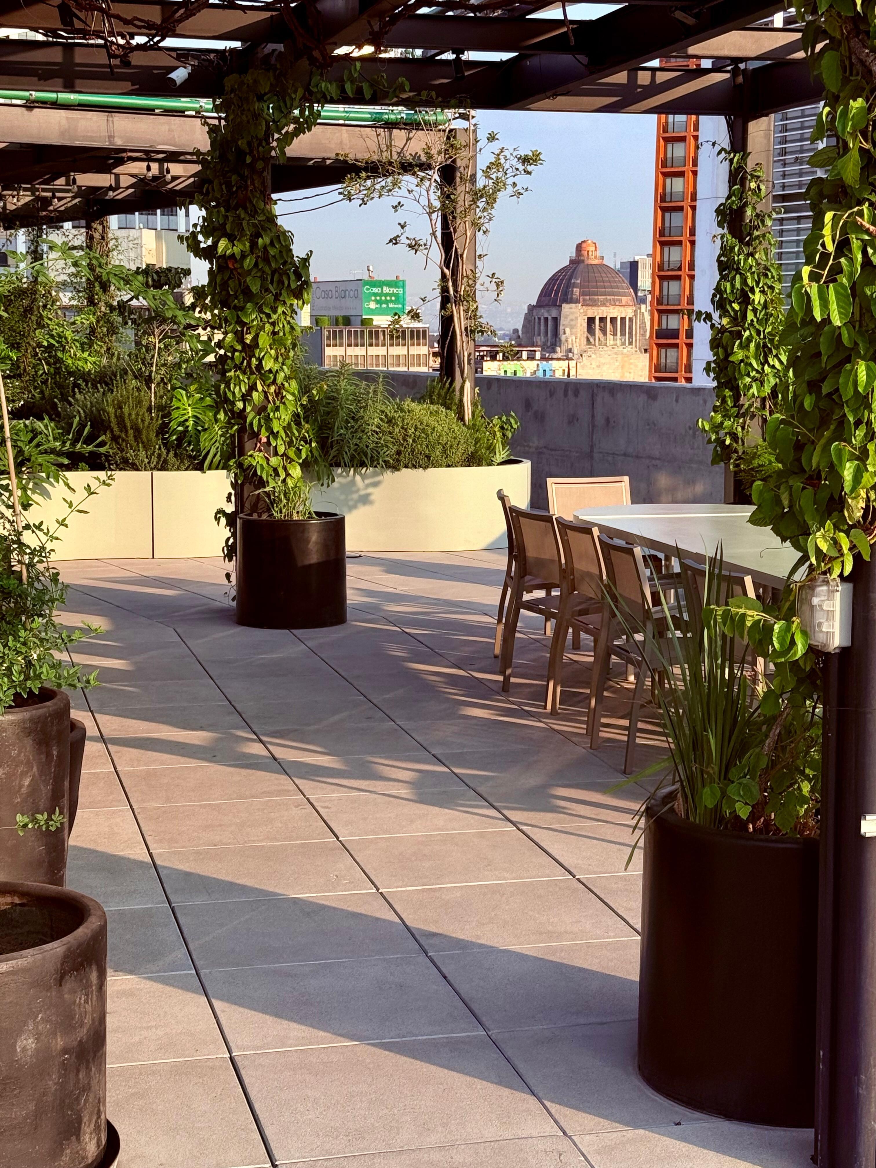 The rooftop area it’s really nice with all the plants 