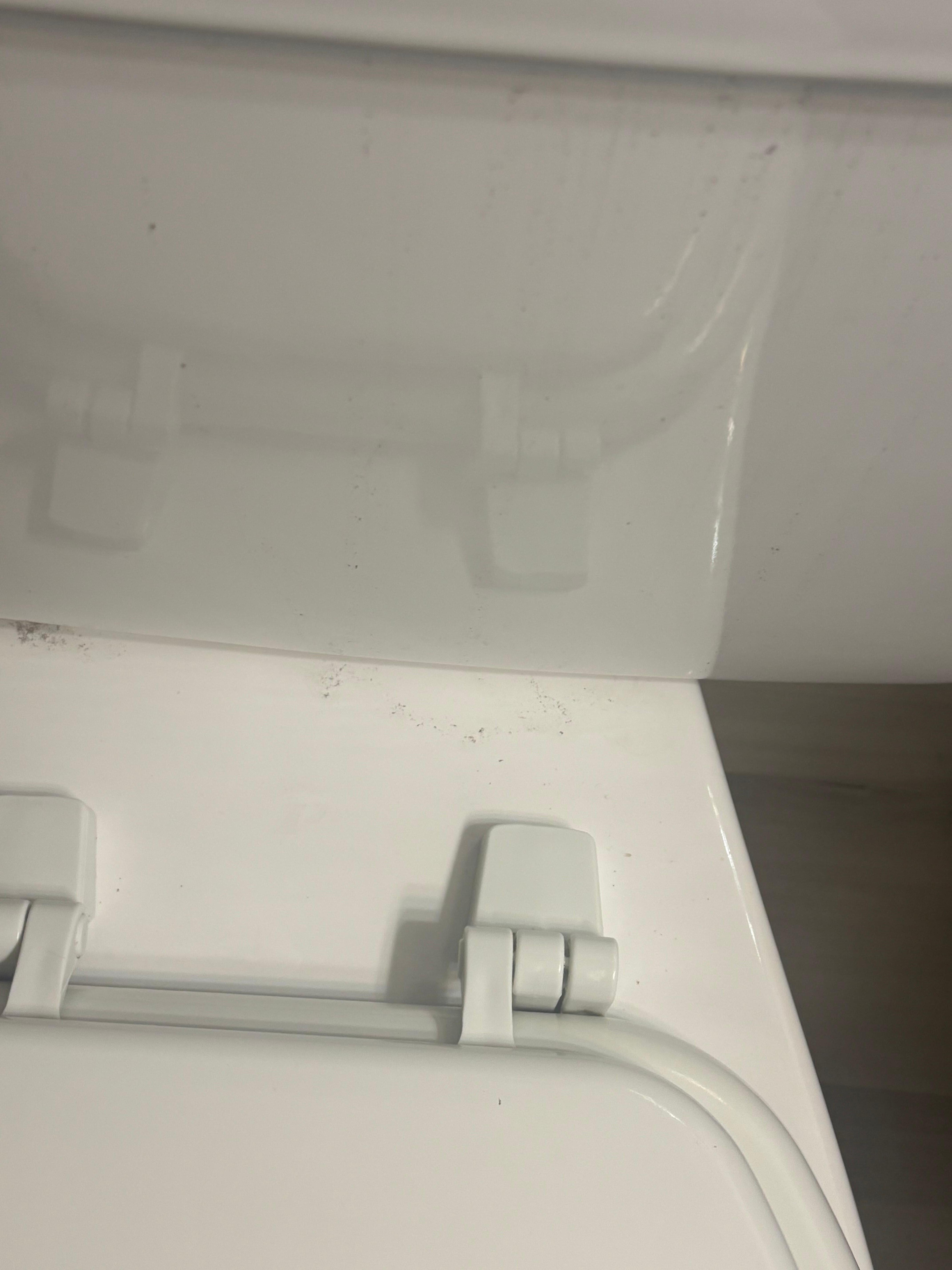 Dirty toilet