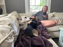 Our pets had relaxing moments in this large comfortable living room
