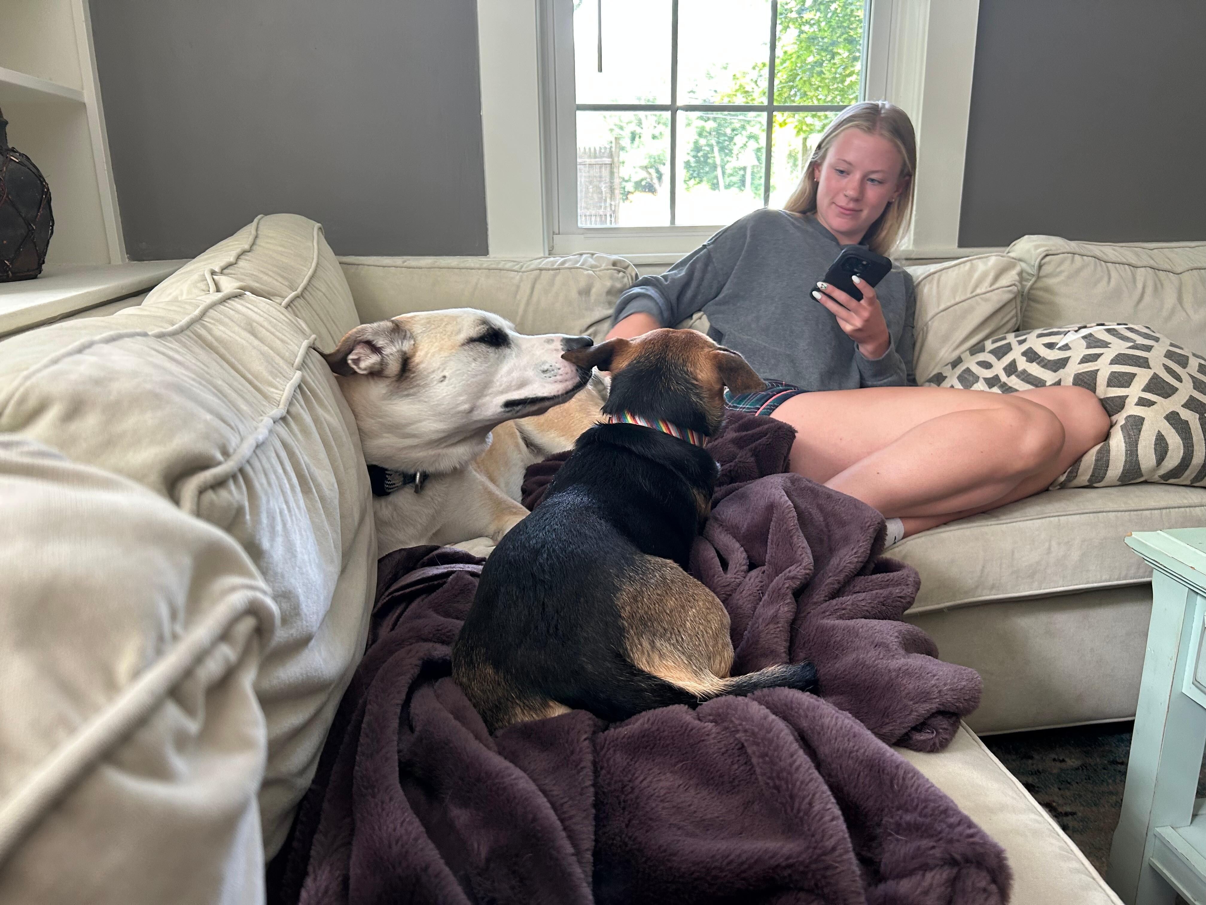 Our pets had relaxing moments in this large comfortable living room 