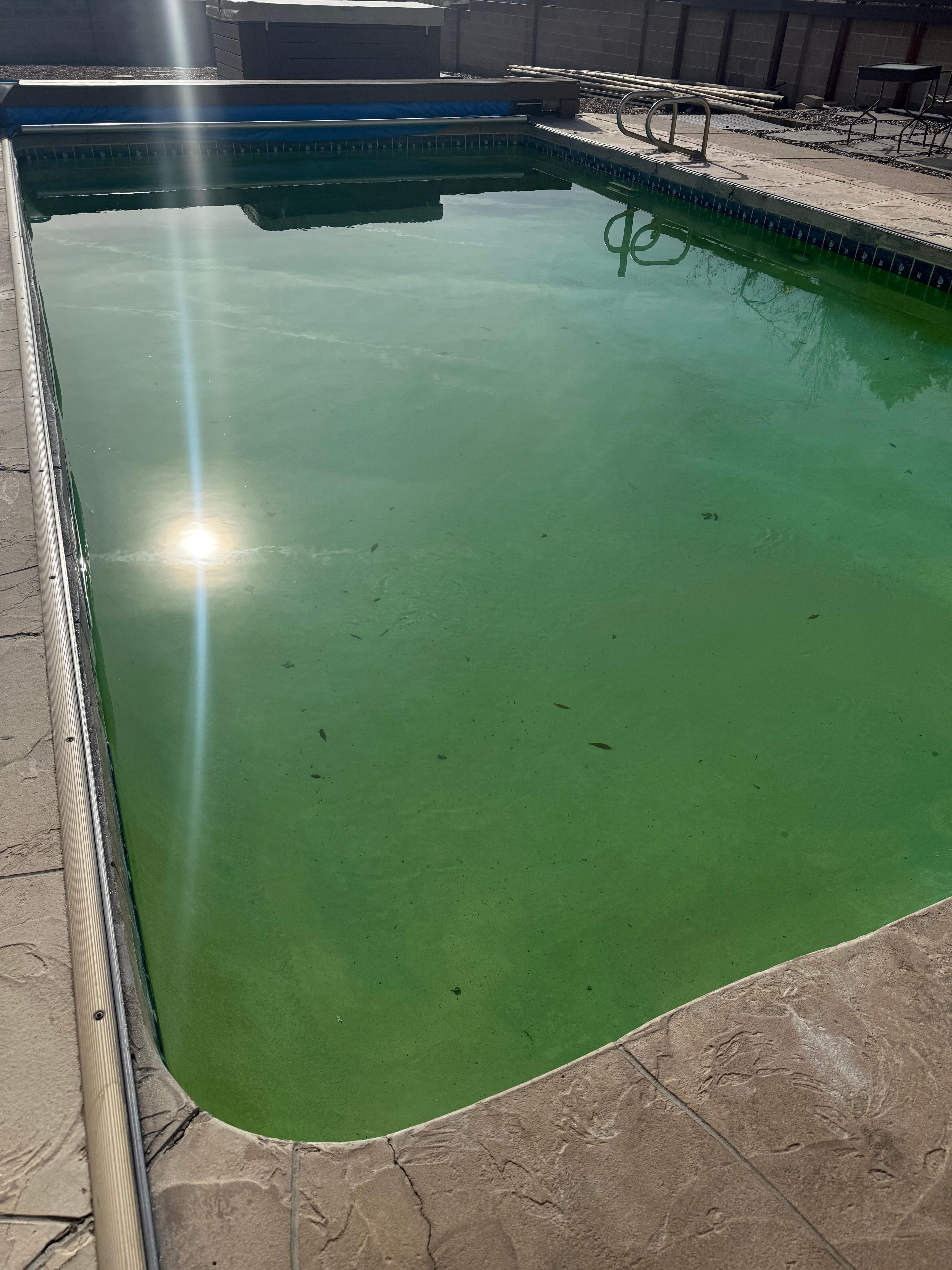 Pool was green. 