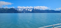 Kenai Fjords 4.5 hour tour.